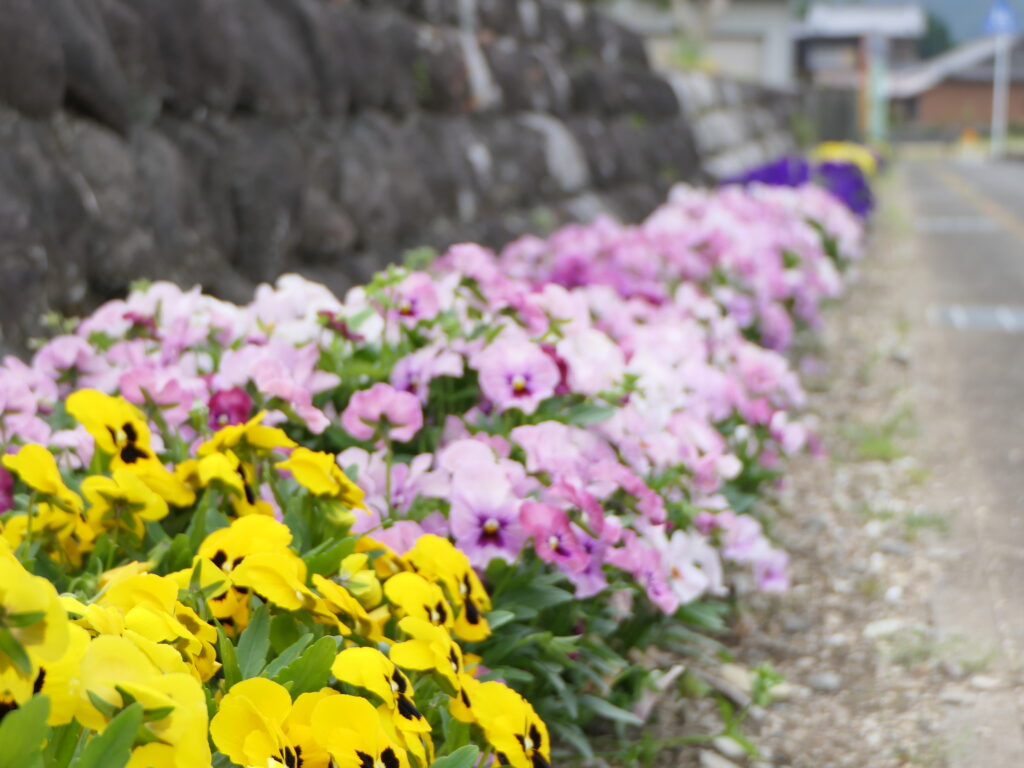 日新地区のまちなみ