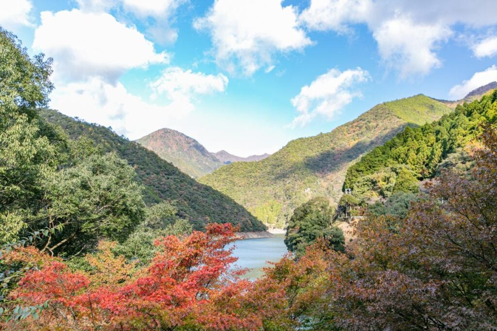 清流宮川の風景