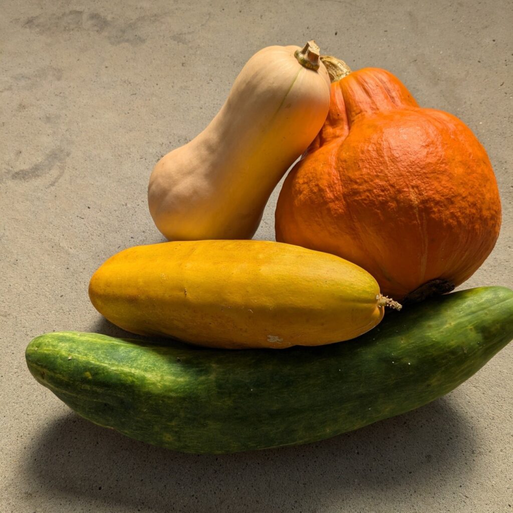 山﨑さんが育てた野菜