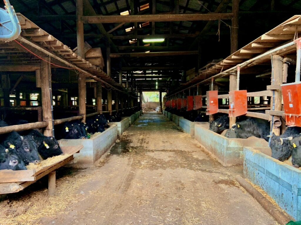 西村牧場のようす