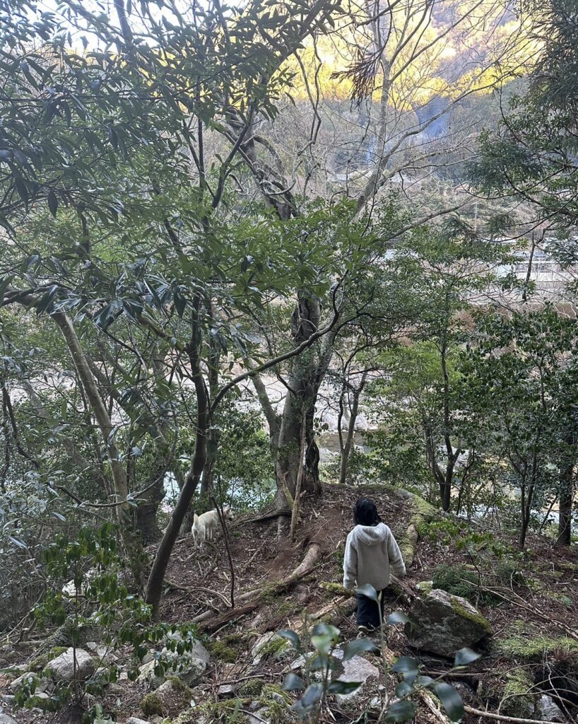 住まい周辺の様子
